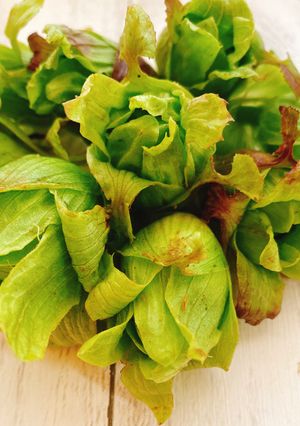 A picture of How to Prepare Butterbur Sprouts & Tempura.