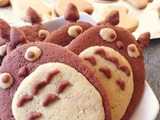 totoro