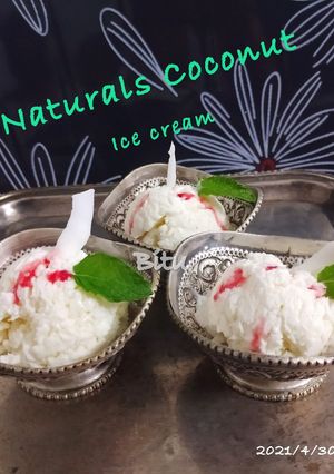 A picture of Naturals Coconut Ice Cream.