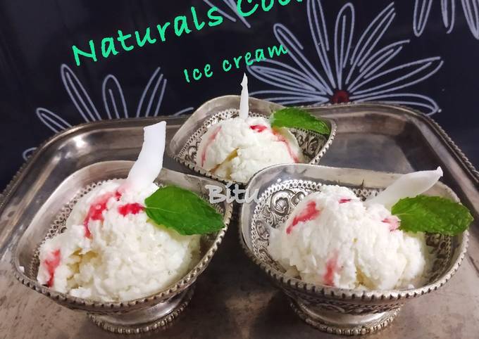 Easiest Way to Prepare Appetizing Naturals Coconut Ice Cream