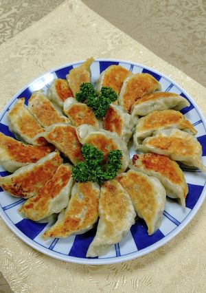 A picture of Vegetable-Packed Pan-Fried Gyoza.