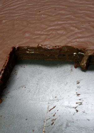 A picture of Fudge Topped Brownies.