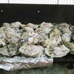 A picture of Barbecue Oysters.