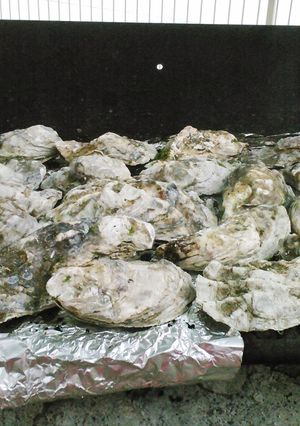 A picture of Barbecue Oysters.
