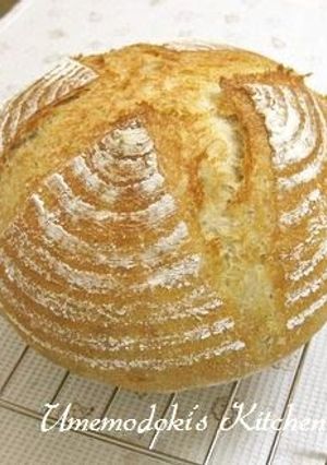 A picture of Whole Wheat Pain de Campagne.