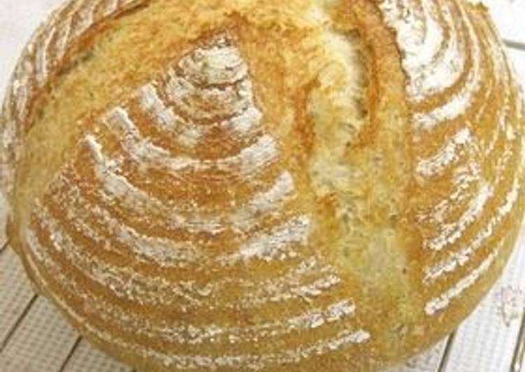 Recipe of Favorite Whole Wheat Pain de Campagne