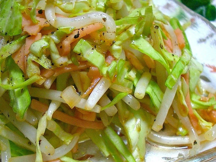 Easy Ways Make|Recipe} Spicy Spring Cabbage and Bean Sprout Salad, Make You Drink