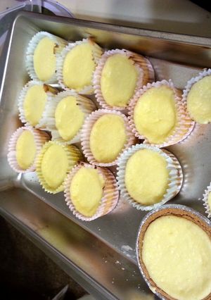 A picture of Basic cheesecake.