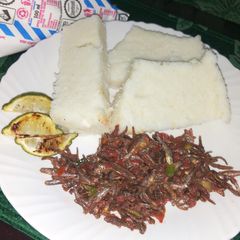 A picture of Omena with ugali.