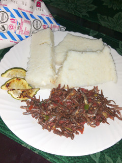 A picture of Omena with ugali.