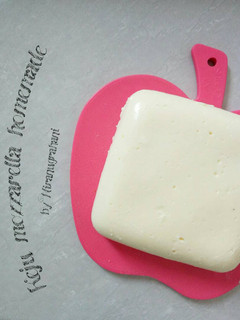 Foto resep Keju mozzarella homemade