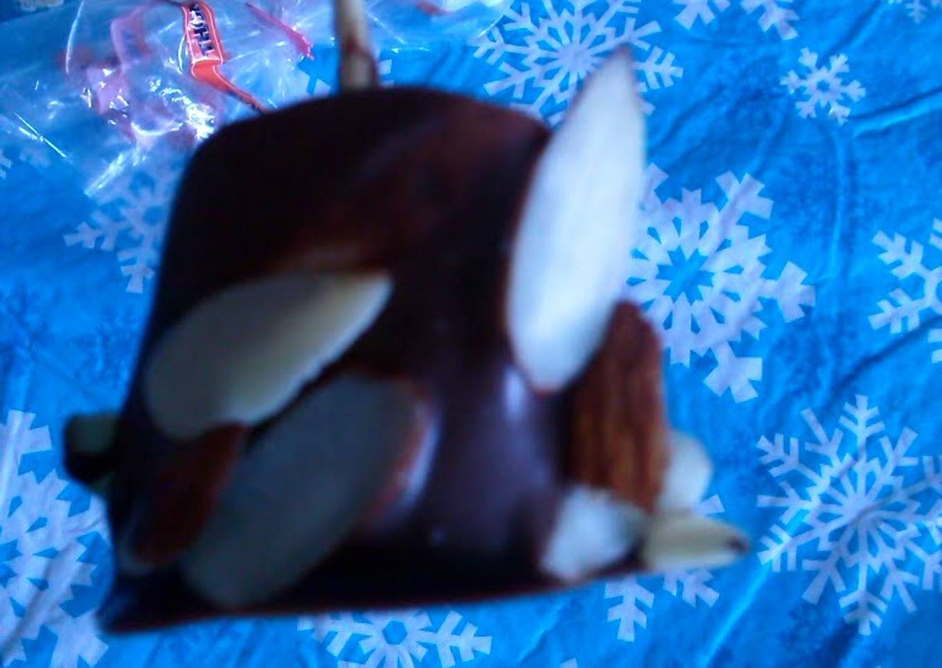 chocolate covered marshmallows