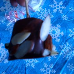 A picture of chocolate covered marshmallows.