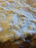 Hummus Pork Chops #2