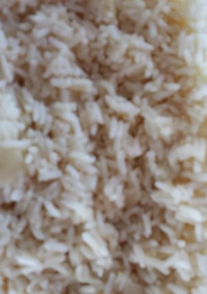 A picture of Mom's Baked Rice w/butter & onions.