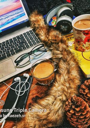 عکسی از دستور نسکافه رژیمی