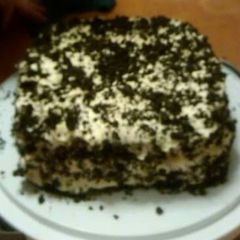 A picture of Junes million $ chocolate cake.