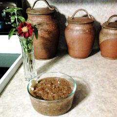 A picture of Salsa.