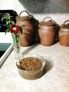 A picture of Salsa.