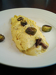 A picture of Steak and Cheese Omelette.