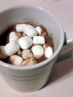 A picture of Yummy (crock pot) Hot Chocolate.