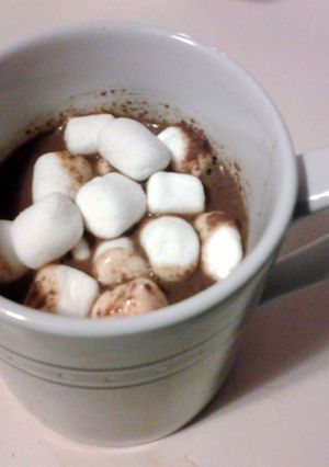 A picture of Yummy (crock pot) Hot Chocolate.
