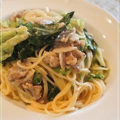 A picture of Spring Cabbage and Pork Cream Pasta.