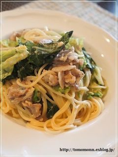 A picture of Spring Cabbage and Pork Cream Pasta.