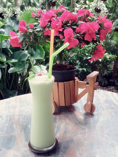 A picture of Kanya's Avocado Smoothie :).