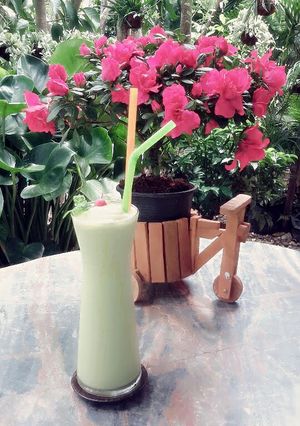 A picture of Kanya's Avocado Smoothie :).