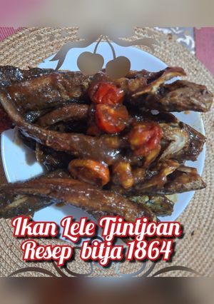 Foto resep Ikan masak Tjintjoan resep bitja 1864
