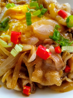 簡易豬肉蓋飯 的食譜成品照片