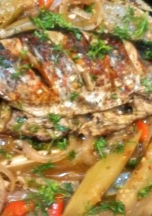 A picture of Fish in mango pool.