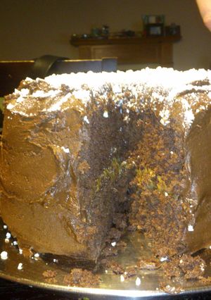 A picture of chocolate cake.