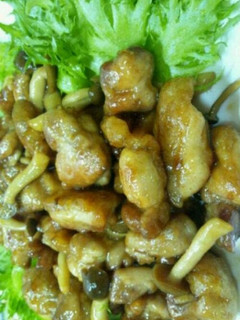 A picture of Teriyaki Chicken.