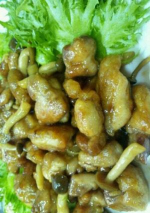 A picture of Teriyaki Chicken.