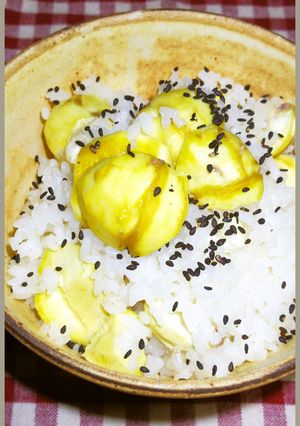 A picture of A Chef's Recipe for Easy Chestnut Rice.