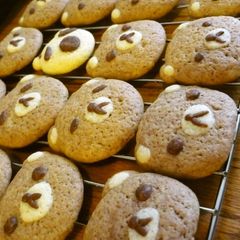 A picture of Cute Teddy Bear Cookies (Gluten-Free).