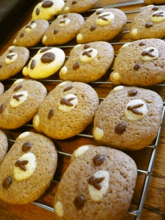 A picture of Cute Teddy Bear Cookies (Gluten-Free).