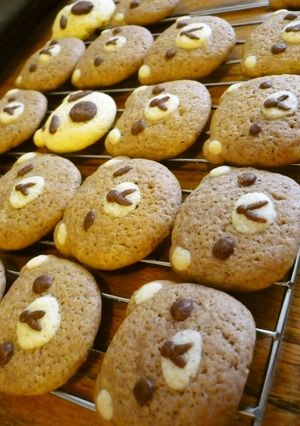 A picture of Cute Teddy Bear Cookies (Gluten-Free).