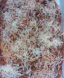 Baked Spaghetti with Parmesan cheese