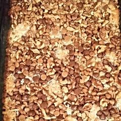 A picture of 7 Layer Cookie Bar.