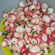 Salades de radis