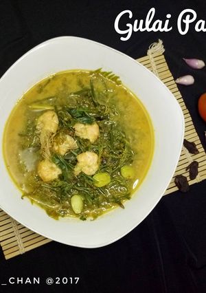 Foto resep Gulai Pakis