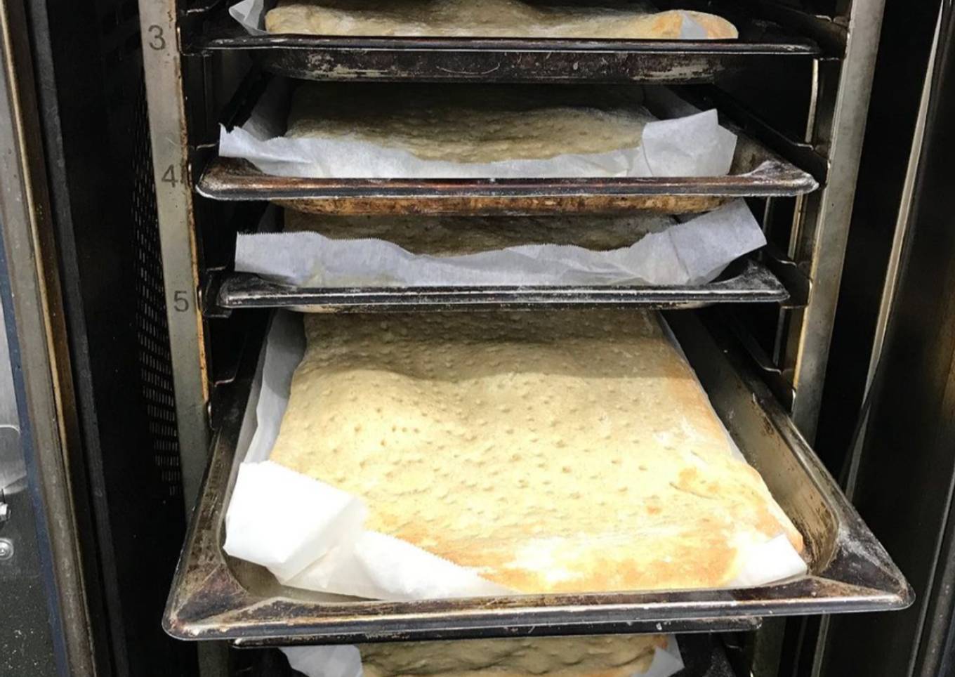 Overnight Cold Prove Pizza Dough