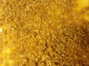 A picture of mashed irish potato