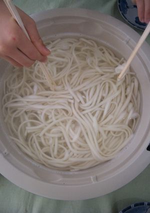 A picture of Hippari Udon From Yamagata.