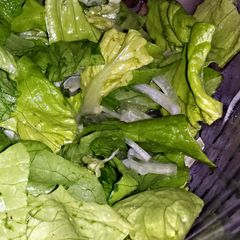 A picture of Lettuce and Onion Salad.