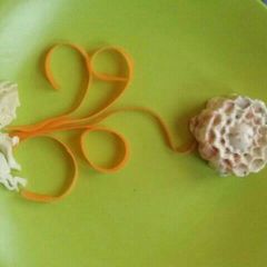 A picture of Salmon flower.