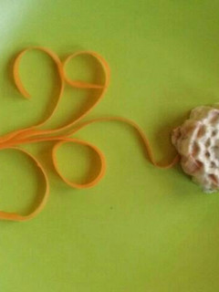 A picture of Salmon flower.